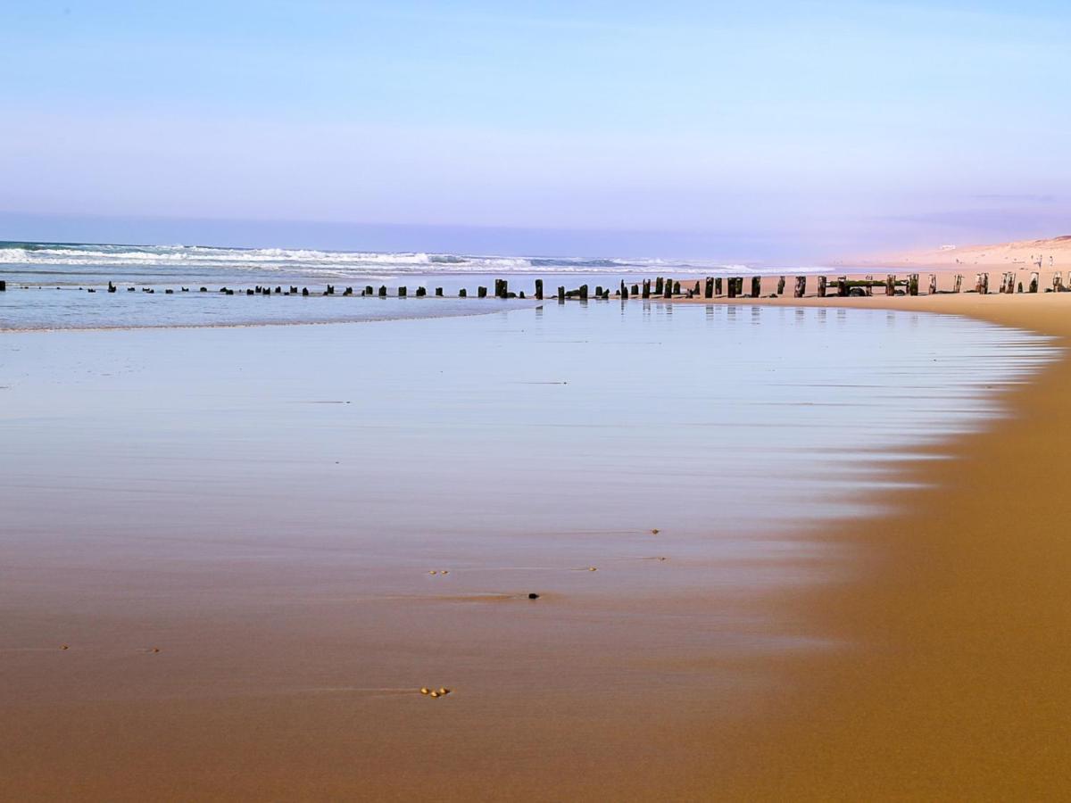 Studio Renove Face A La Dune, Proche Plage Et Commerces, Ideal Pour 2 Personnes - Fr-1-239-150 세노스 외부 사진